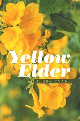 Yellow Elder 1