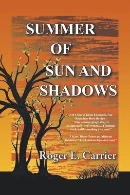 Summer of Sun and Shadows 1