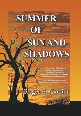 Summer of Sun and Shadows 1