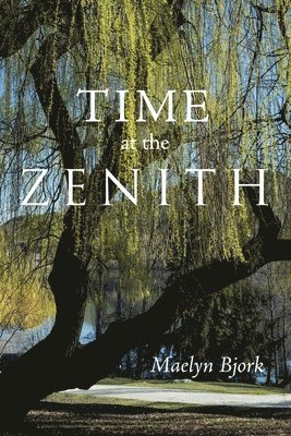 Time at the Zenith 1