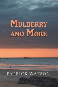bokomslag Mulberry and More