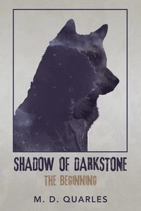 bokomslag Shadow of Darkstone