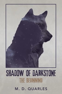 Shadow of Darkstone 1