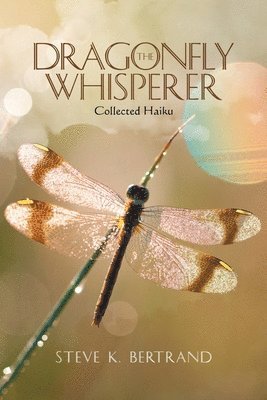 bokomslag Dragonfly Whisperer