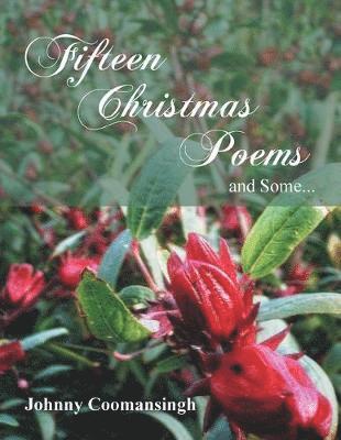 bokomslag Fifteen Christmas Poems and Some...