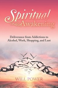 bokomslag Spiritual Awakening