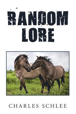 Random Lore 1