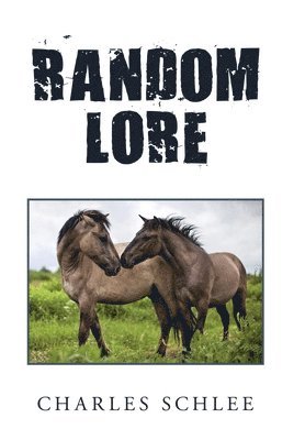 Random Lore 1