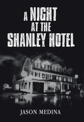 bokomslag Night at the Shanley Hotel