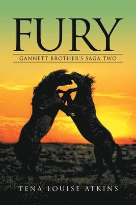 bokomslag Fury
