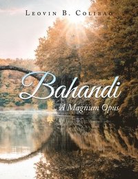 bokomslag Bahandi