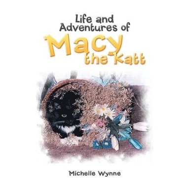 bokomslag Life and Adventures of Macy the Katt