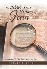 bokomslag The Bible's True History of Jesus