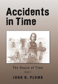 bokomslag Accidents in Time