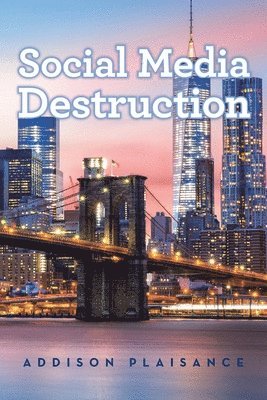 bokomslag Social Media Destruction