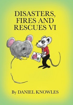 Disasters, Fires and Rescues Vi 1