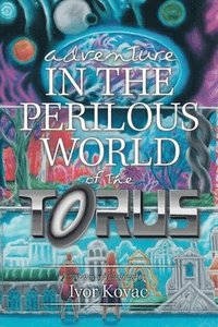 bokomslag Adventure in the Perilous World of the Torus