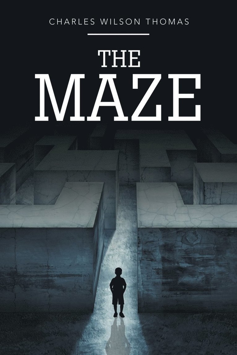 The Maze 1