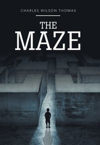 bokomslag The Maze