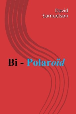 Bi - Polaroid 1
