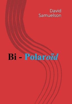 Bi - Polaroid 1