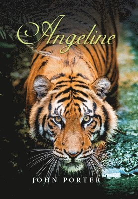 John Porter - Angeline, Inbunden