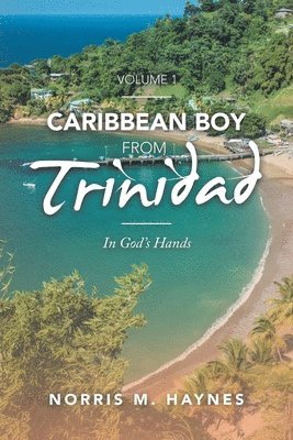 Caribbean Boy from Trinidad 1