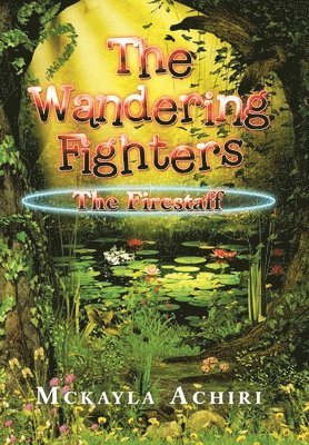 bokomslag Wandering Fighters