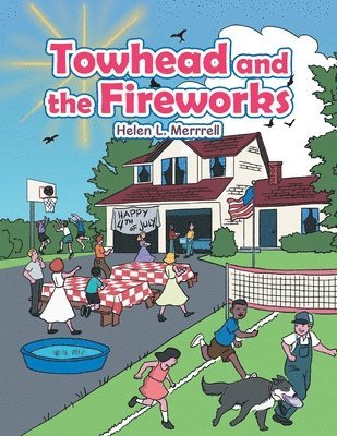 Towhead and the Fireworks 1