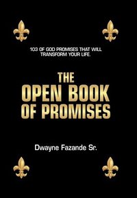 bokomslag Open Book of Promises