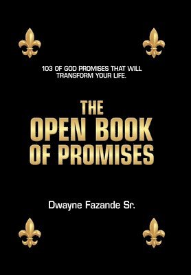 bokomslag Open Book of Promises