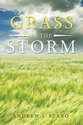 Grass in the Storm 1