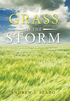 Grass in the Storm 1