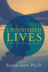 bokomslag Unfinished Lives