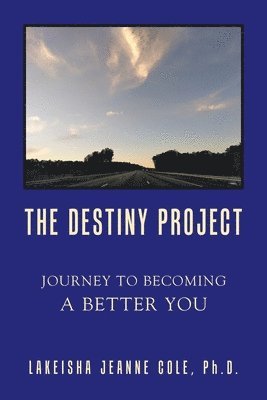 bokomslag Destiny Project