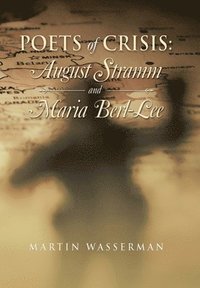 bokomslag Poets of Crisis