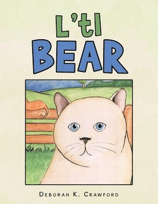 L'tl Bear 1