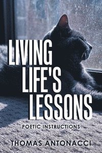 bokomslag Living Life's Lessons