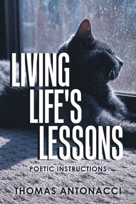 bokomslag Living Life's Lessons