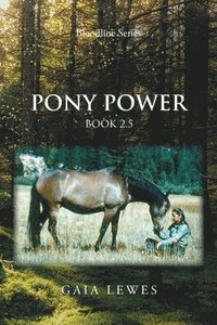 bokomslag Pony Power