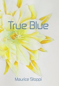 bokomslag True Blue