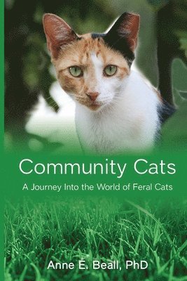 bokomslag Community Cats: A Journey Into the World of Feral Cats