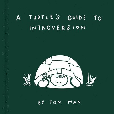 A Turtle's Guide to Introversion 1