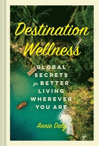 bokomslag Destination Wellness