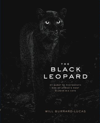 Will Burrard-Lucas - Black Leopard, Inbunden