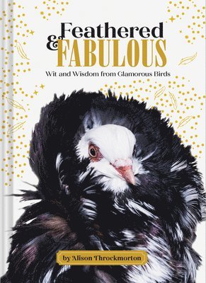 Alison Throckmorton - Feathered & Fabulous: Wit and Wisdom from Glamorous Birds, Inbunden