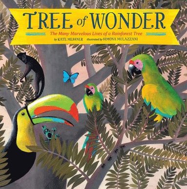 Kate Messner - Tree of Wonder, Häftad