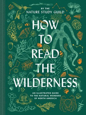 bokomslag How to Read the Wilderness