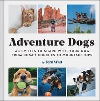 bokomslag Adventure Dogs