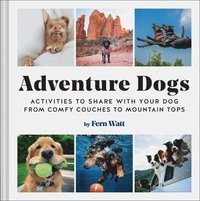 bokomslag Adventure Dogs: Activities to Share with Your Dog--From Comfy Couches to Mountain Tops